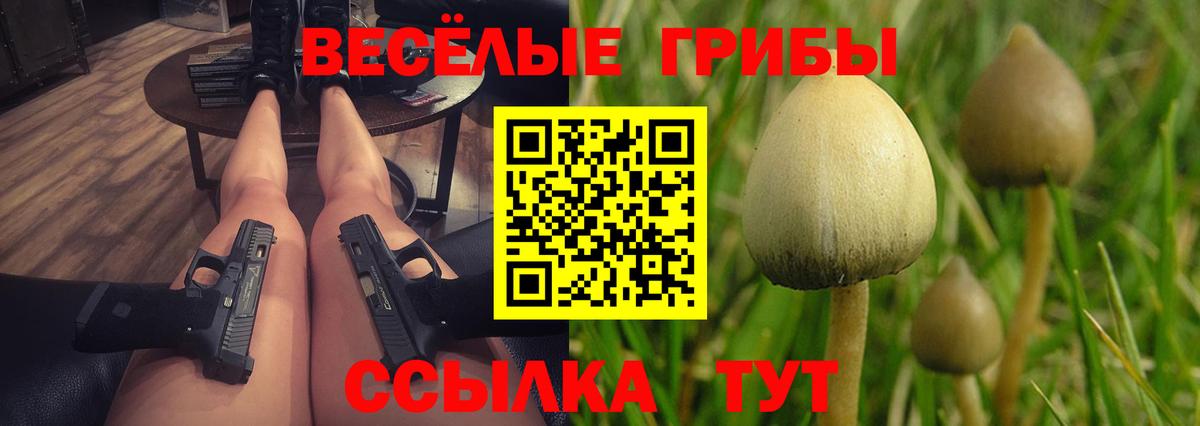 Галлюциногенные грибы GOLDEN TEACHER  сколько стоит  Псилоцибиновые грибы Magic Shrooms  Уссурийск  Вход с VPN 